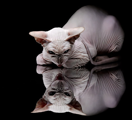 开云体育在线登入-《直播热潮：百万观众在线观看电竞决赛》，电竞现场直播