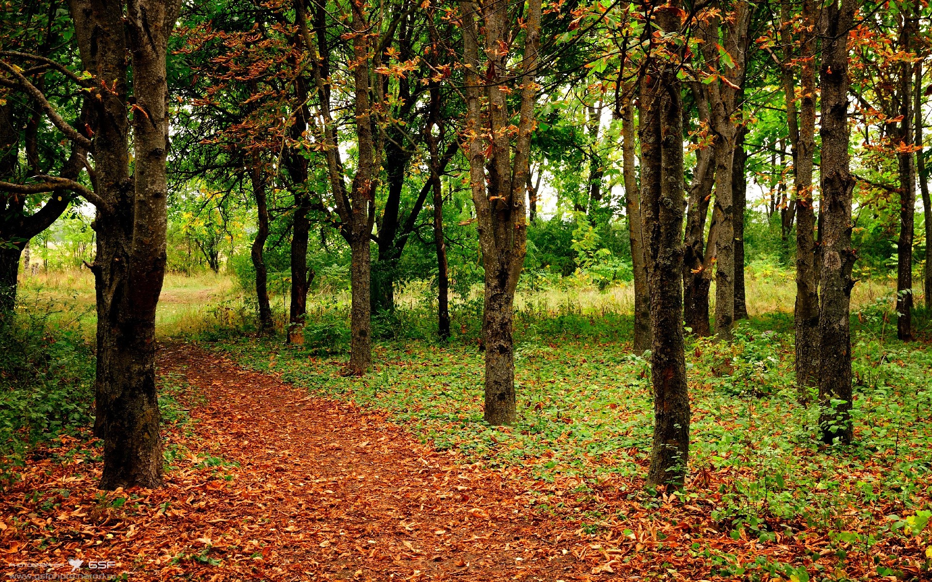 开云网站-国际联赛：多国选手同台竞技盛况，国际赛赛况